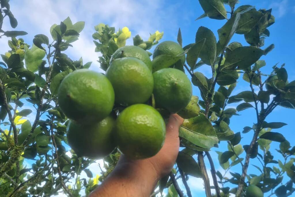 Rio Sereno Hospedaje Finca Agroturistica Dona Rufa מראה חיצוני תמונה