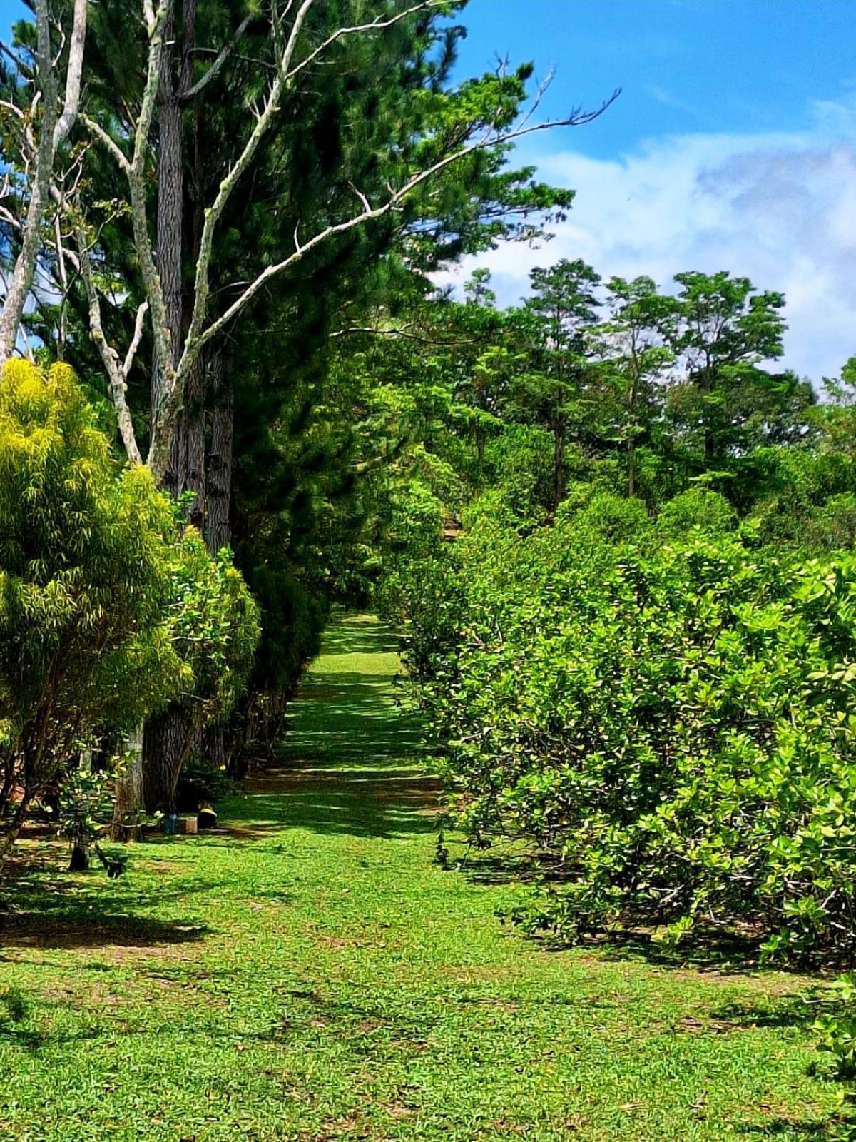 Rio Sereno Hospedaje Finca Agroturistica Dona Rufa חדר תמונה